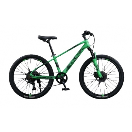 Велосипед 24 REBEL RISE RICHER R17 367, 7ск., MD, 2025