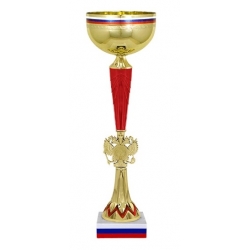 Кубок АНЗЕР 43 см