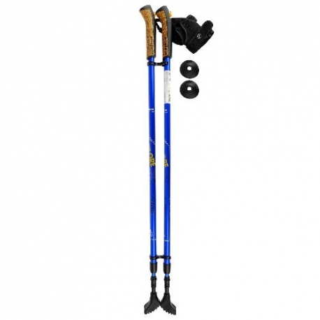 Палки для скандинавской ходьбы Ergo Nordic 110-140 см