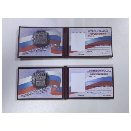 Удостоверение кандидата в мастера спорта России