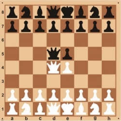 Доска шахматная демонстрационная 90 см