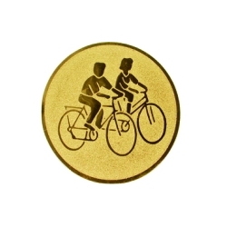 Вкладыш D1 A100(велоспорт)