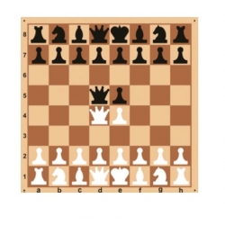 Доска шахматная демонстрационная ЦЕЛЬНАЯ 90 см с магнитными фигурами