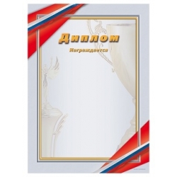 Диплом GR_33