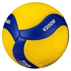 Мяч волейбольный INGAME Play