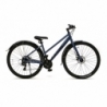 Велосипед FALCON BIKE 29 GLORY 1.0