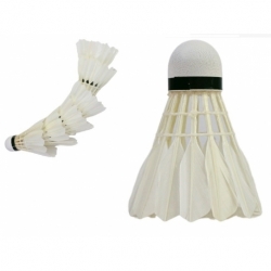 Волан для бадминтона Ingame ELITE IN6VE