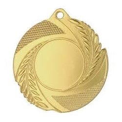 Медаль MMC5010 G