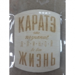 Магнит Карате это познание