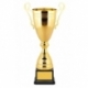 Кубок KM5084b